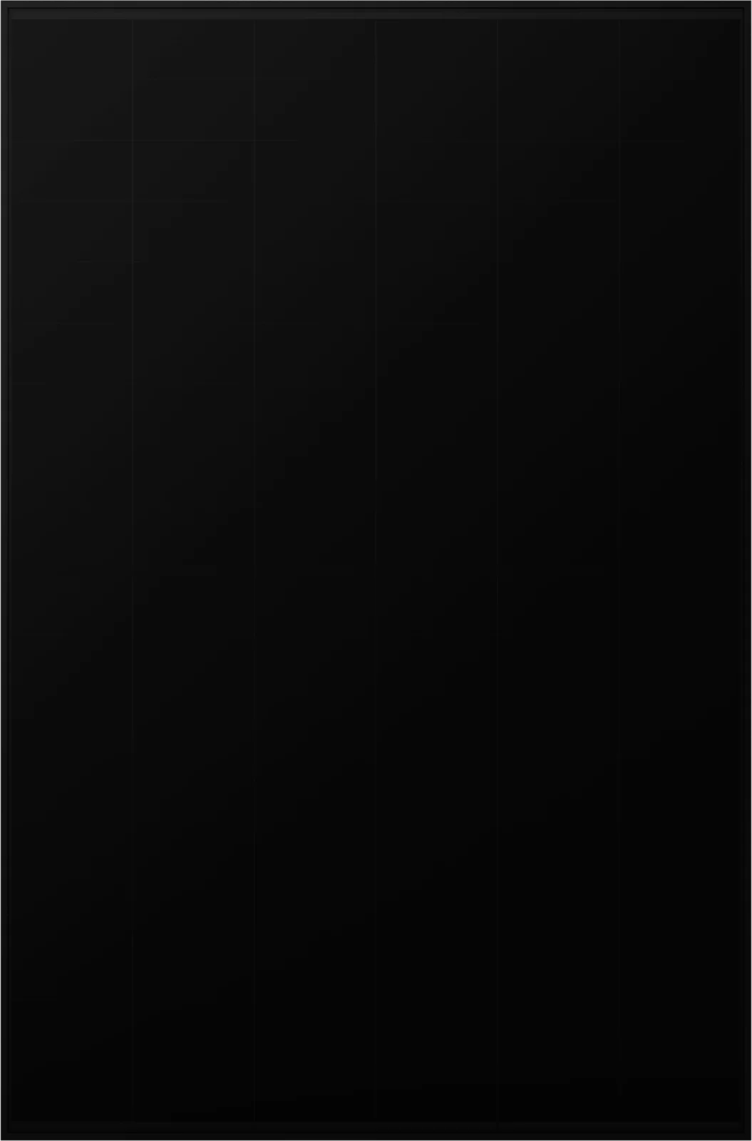 Bauer Solar Glas-Glas Black Back Contact